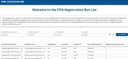 此前遭转会注册禁令的延边龙鼎、青岛海牛从FIFA禁令公示中移除
